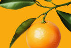 Mandarinkové marmelády